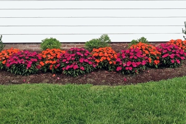 Professional landscaping contractor in Tulsa, OK