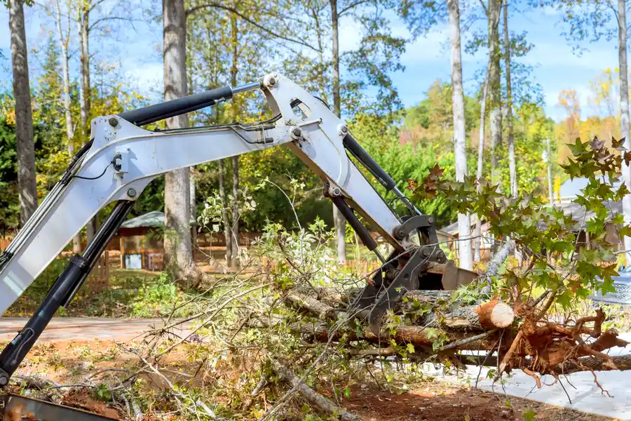 Reliable Land Clearing in Tulsa, OK