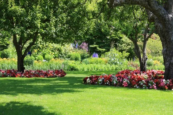 Reliable landscape services