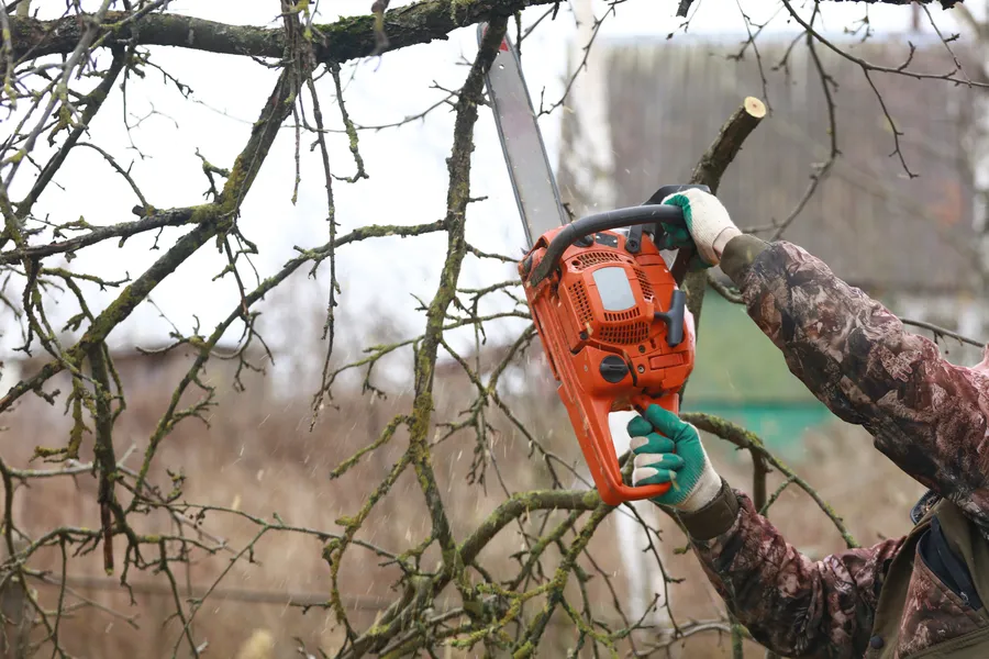 Superior Tree Trimming in Tulsa, OK