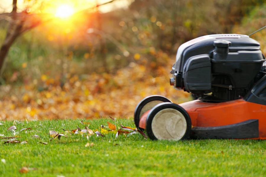 Top Lawn Care Trends Shaping The Landscaping Industry in Florence Park South, Tulsa, OK 74105