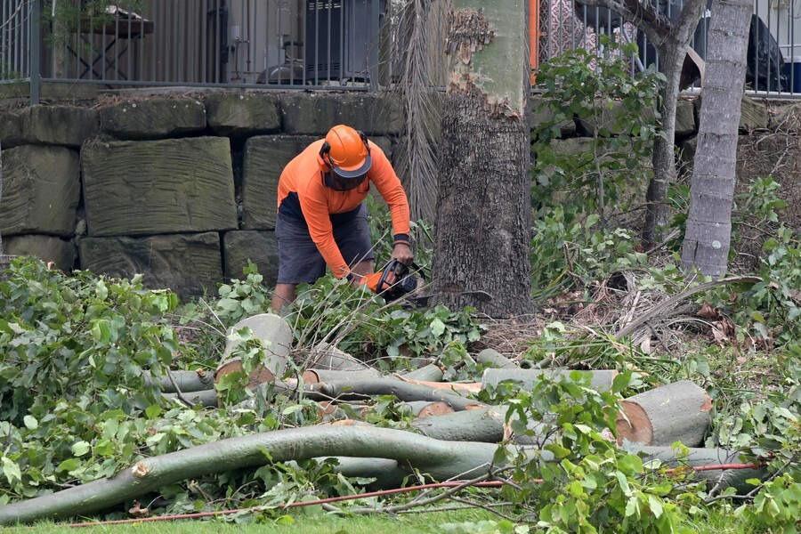 A team working with Tree Trimming in Timberlane Hills, Tulsa, OK 74136