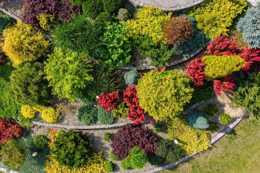 Beautiful Yard Landscaping in Bryn Mawr, Tulsa, OK 74105 featuring well maintained lawn, trimmed shrubs, and vibrant outdoor design